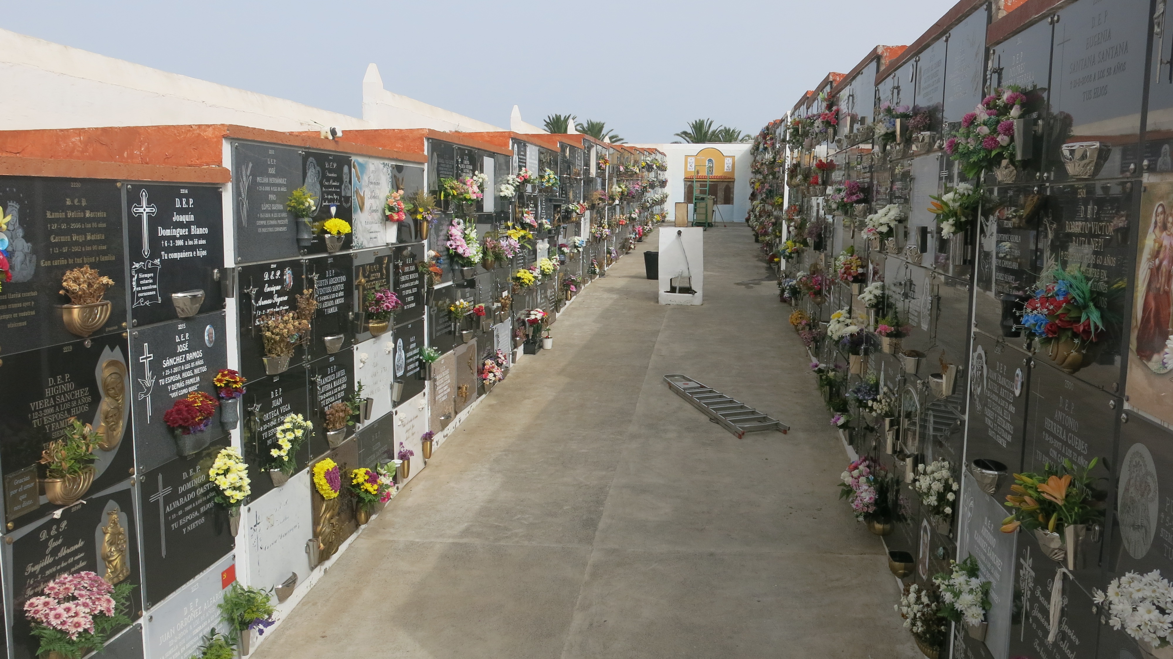 El servicio de venta de flores se vuelve a instaurar en los cementerios de Sardina y Vecindario