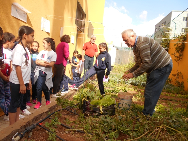 El alumnado del CEIP Tinguaro recoge la cosecha del huerto escolar, en el que colaboran las familias